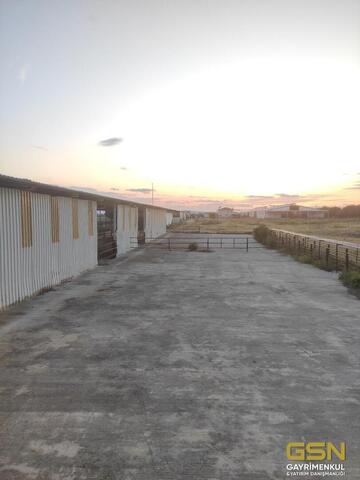 25-İZMİR DİKİLİ BAHÇELİ MAHALLESİNDE DENİZE 3. PARSEL 48.000 M2 İÇERİSİNDE KURULU 4000 BÜYÜKBAŞLIK RUHSATLI ÇİFTLİK